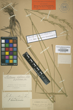 LE 01011402
