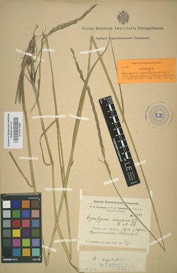 LE 01011405