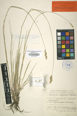 LE 01011407