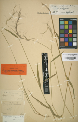 LE 01011409
