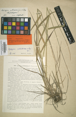 LE 01011426