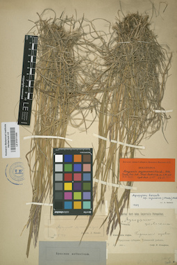 LE 01011430