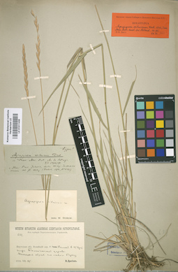 LE 01011435
