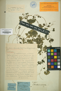 LE 01019540