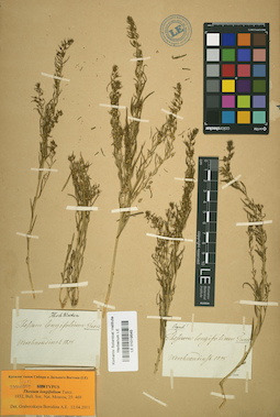 LE 01019545