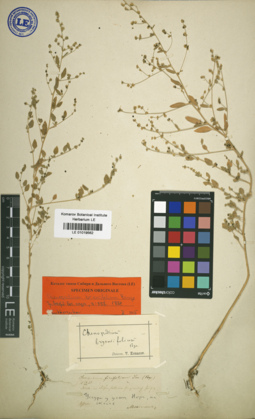 LE 01019562