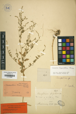 LE 01019563