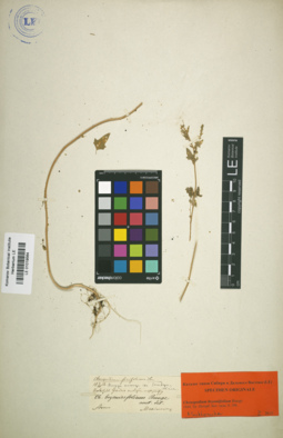 LE 01019564