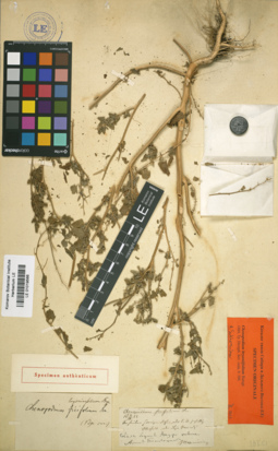 LE 01019566