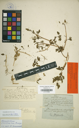 LE 01019584
