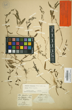 LE 01019592