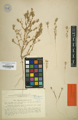 LE 01019624