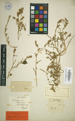 LE 01019645