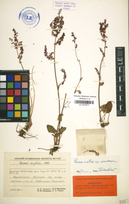 LE 01019711