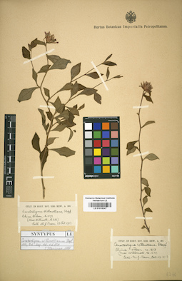 LE 01016247