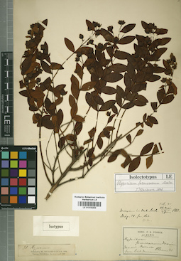 LE 01016252
