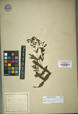 LE 01016253
