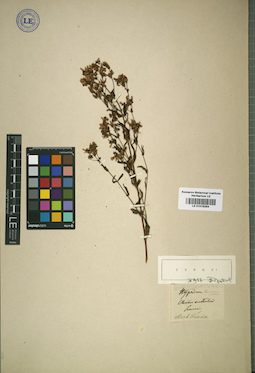 LE 01016254