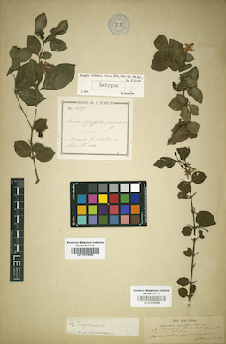 LE 01016255