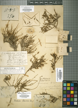 LE 01016265