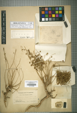 LE 01016266