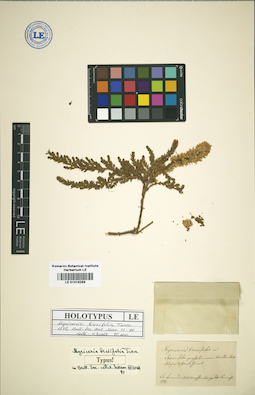 LE 01016269
