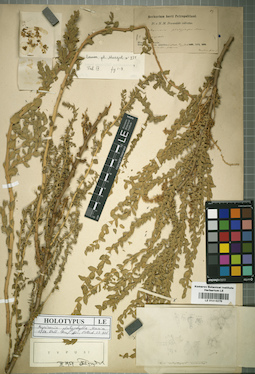 LE 01016270