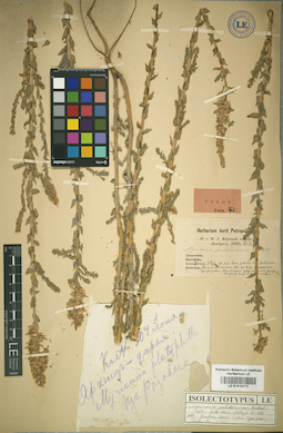LE 01016272