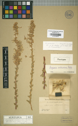 LE 01016273