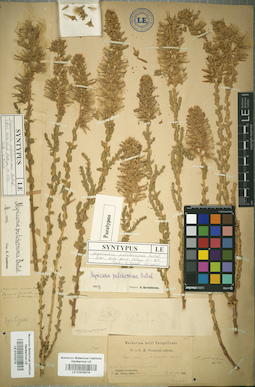 LE 01016274