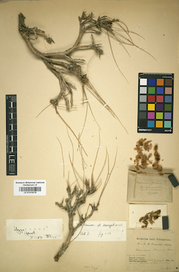LE 01016276