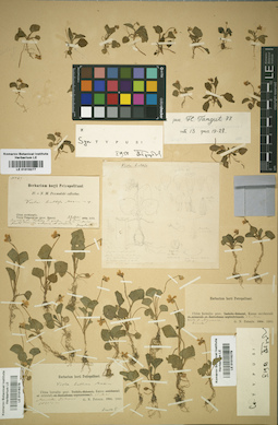 LE 01016279