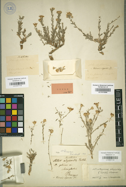 LE 01016280