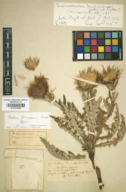 LE 01016289