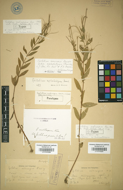 LE 01016291