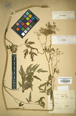 LE 01016292