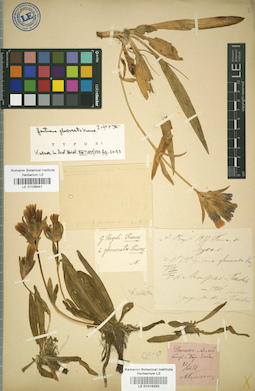 LE 01016293