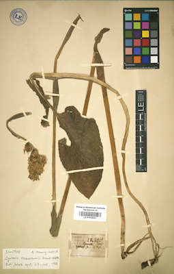 LE 01016297