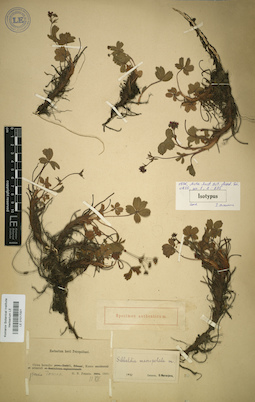 LE 01017001
