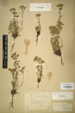 LE 01017005