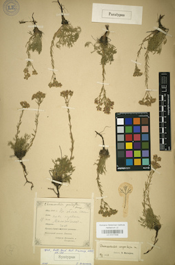 LE 01017009