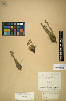LE 01017010