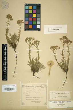 LE 01017011