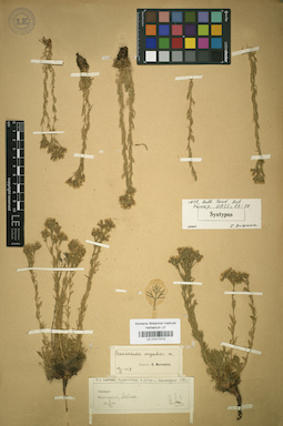 LE 01017012