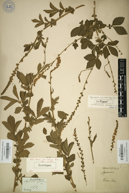 LE 01017049