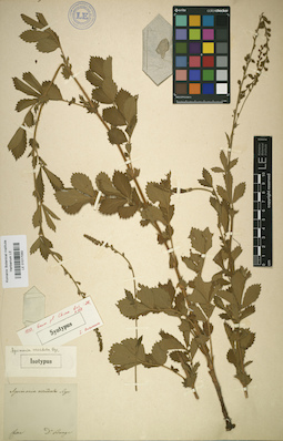 LE 01017050