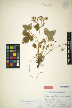 LE 01017058