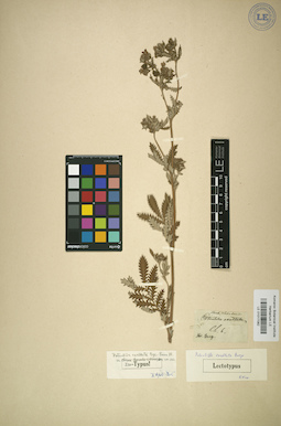 LE 01017082