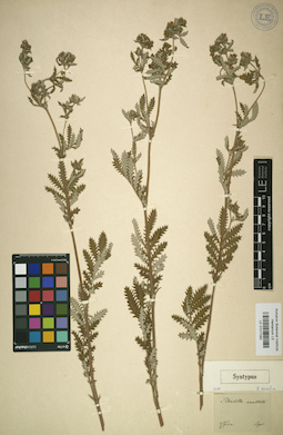 LE 01017083