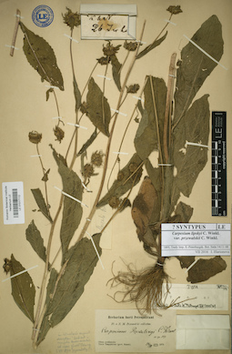 LE 01017112